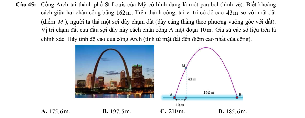 Hình minh họa câu hỏi